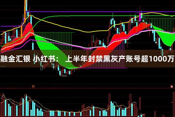融金汇银 小红书： 上半年封禁黑灰产账号超1000万