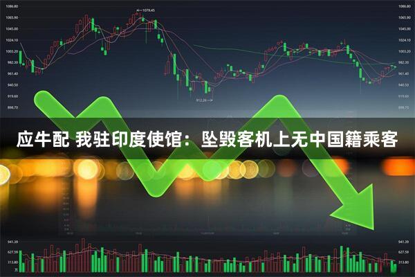 应牛配 我驻印度使馆：坠毁客机上无中国籍乘客