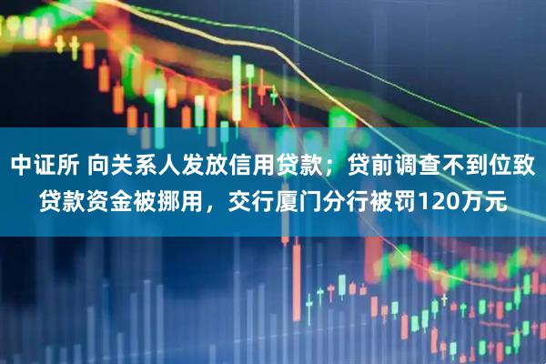 中证所 向关系人发放信用贷款；贷前调查不到位致贷款资金被挪用，交行厦门分行被罚120万元