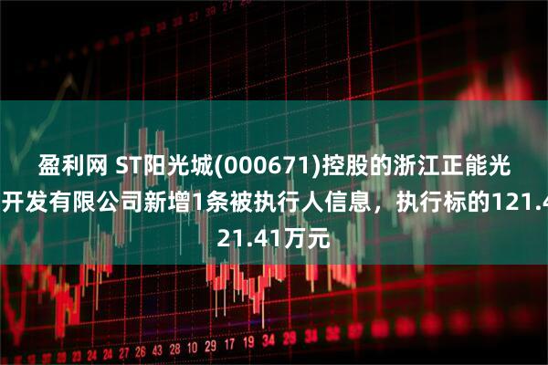 盈利网 ST阳光城(000671)控股的浙江正能光房地产开发有限公司新增1条被执行人信息，执行标的121.41万元