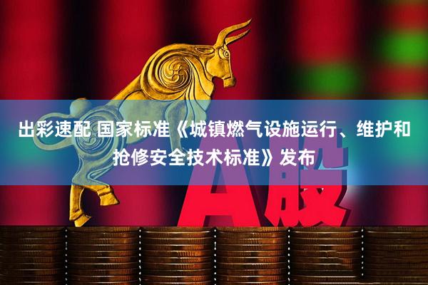 出彩速配 国家标准《城镇燃气设施运行、维护和抢修安全技术标准》发布