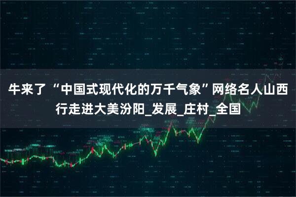 牛来了 “中国式现代化的万千气象”网络名人山西行走进大美汾阳_发展_庄村_全国