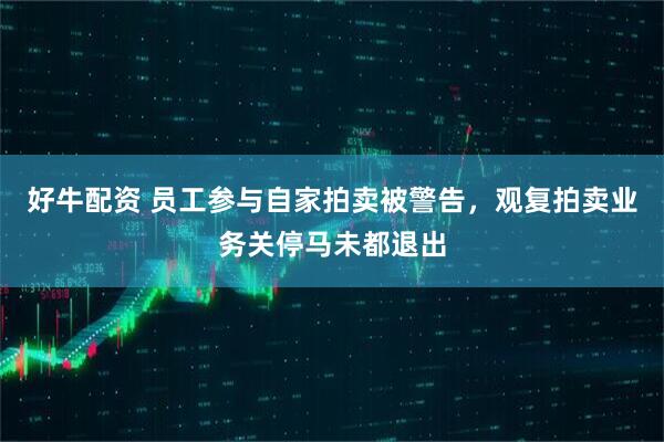 好牛配资 员工参与自家拍卖被警告,观复拍卖业务关停马未都退出